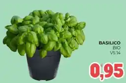 Eté Basilico bio vs 14 offerta