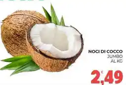 Eté Noci di cocco jumbo offerta