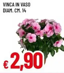 Famila Vinca in vaso diam. cm. 14 offerta