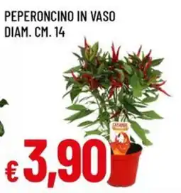 Famila Peperoncino in vaso diam. cm. 14 offerta