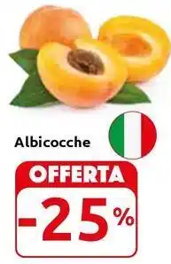 Carrefour Express Albicocche offerta