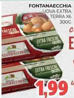 Eté Fontanaecchia uova extra terra x6 offerta