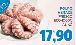Eté Polpo verace fresco offerta