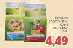 Eté Friskies croccantini cane vari gusti offerta