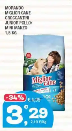 Splendidi e Splendenti Morando miglior cane croccantini junior pollo/ mini manzo offerta