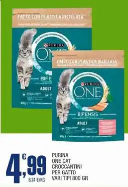 Splendidi e Splendenti Purina one cat croccantini per gatto vari tipi offerta