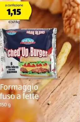 ALDI Formaggio fuso a fette offerta