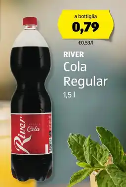 ALDI RIVER Cola Regular offerta
