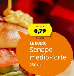 ALDI LE GUSTO Senape medio-forte offerta