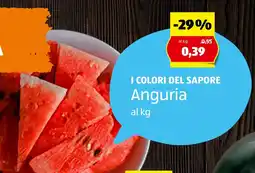 ALDI I COLORI DEL SAPORE Anguria offerta
