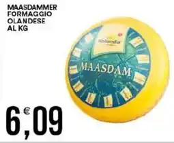 Vantaggio Cash&Carry Maasdammer formaggio olandese offerta
