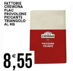Vantaggio Cash&Carry Fattorie cremona plac provolone piccante triangolo offerta