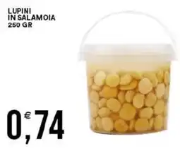 Vantaggio Cash&Carry Lupini in salamoia offerta