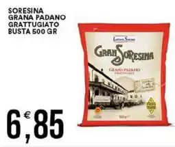 Vantaggio Cash&Carry Soresina grana padano grattugiato busta offerta