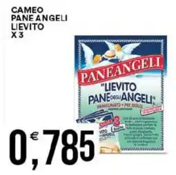 Vantaggio Cash&Carry Cameo pane angeli lievito x3 offerta