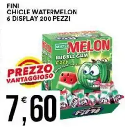 Vantaggio Cash&Carry Fini chicle watermelon 6 display 200 pezzi offerta