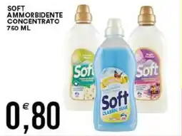 Vantaggio Cash&Carry Soft ammorbidente concentrato offerta