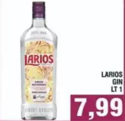 Bitar Larios gin offerta