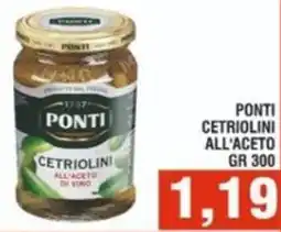 Bitar Ponti cetriolini all'aceto offerta