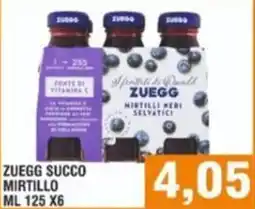 Bitar Zuegg succo mirtillo offerta