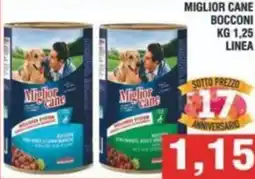 Bitar Miglior cane bocconi linea offerta