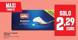 Panorama Crema di yogurt MÜLLER offerta