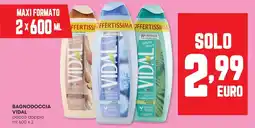 Panorama Bagnodoccia VIDAL offerta