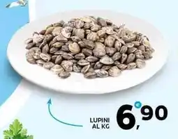 Extra Supermercati Lupini offerta