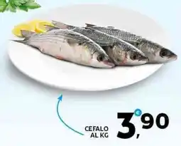 Extra Supermercati Cefalo offerta