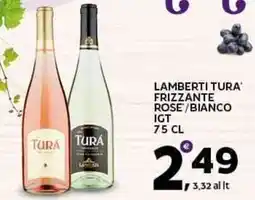 Extra Supermercati Lamberti tura' frizzante rose/bianco igt offerta