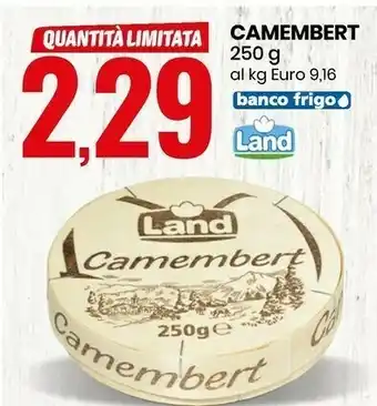 Eurospin Camembert offerta