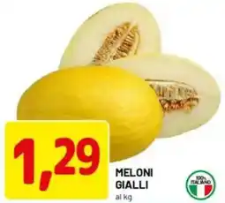 DPiù Meloni gialli al kg offerta