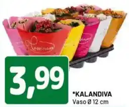 DPiù KALANDIVA Vaso offerta