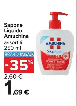 Carrefour Sapone Liquido Amuchina offerta