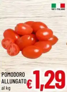 A&O Pomodoro allungato offerta