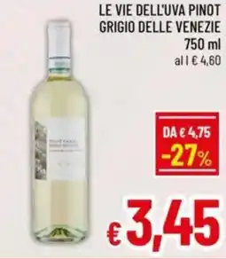A&O Le vie dell'uva pinot grigio delle venezie offerta