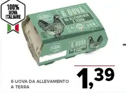 Todis 6 uova da allevamento a terra offerta