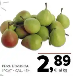 Todis Pere etrusca offerta