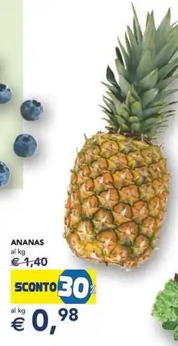 Esselunga Ananas offerta