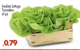Despar Insalata Lattuga Trocadero offerta