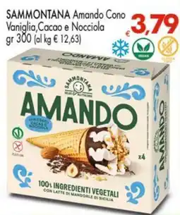 Despar SAMMONTANA Amando Cono Vaniglia, Cacao e Nocciola offerta