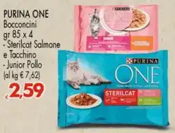 Despar PURINA ONE Bocconcini offerta