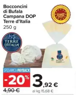 Carrefour Express Bocconcini di Bufala Campana DOP Terre d'Italia offerta