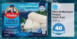 Carrefour Express Fiori di Merluzzo Findus offerta