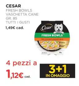 Arcaplanet CESAR Fresh bowls vaschetta cane tutti i gusti offerta