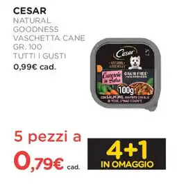Arcaplanet CESAR Natural goodness vaschetta cane tutti i gusti offerta