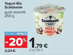 Carrefour Yogurt Bio Scaldasole offerta
