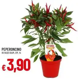 IperFamila Peperoncino offerta