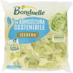 Coop INSALATE BONDUELLE offerta
