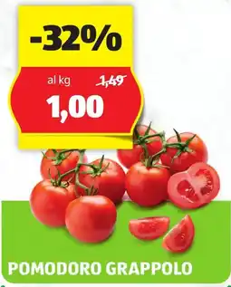ALDI Pomodoro grappolo offerta
